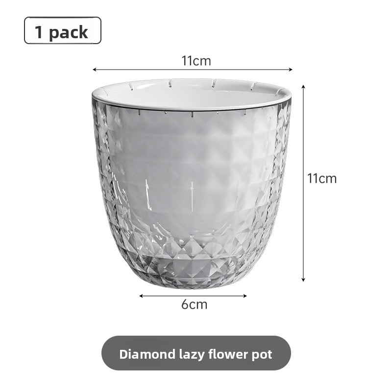 Transparent Plastic Lazy Plant - đánh giá và giá Aloe Vera Pot