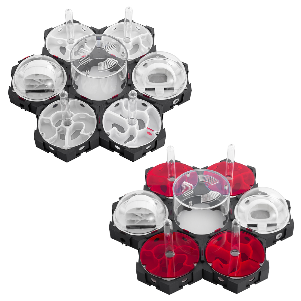 3D Printing Ant Nest Infinitel - đánh giá và giá Begonia Rex
