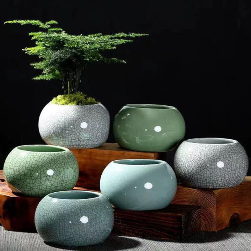 Creative Handmade Geyao Ice Cr - đánh giá và giá Aloe Vera Pot