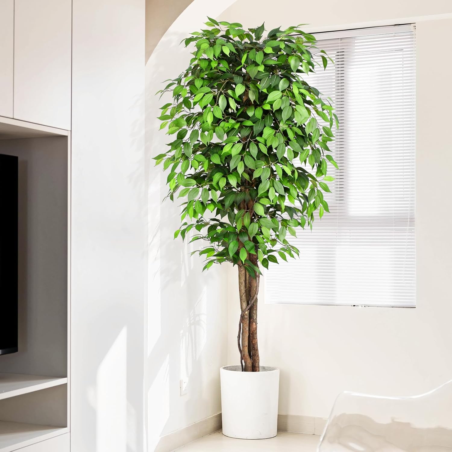 Lifelike Artificial Ficus Tree - đánh giá và giá Dracaena Marginata