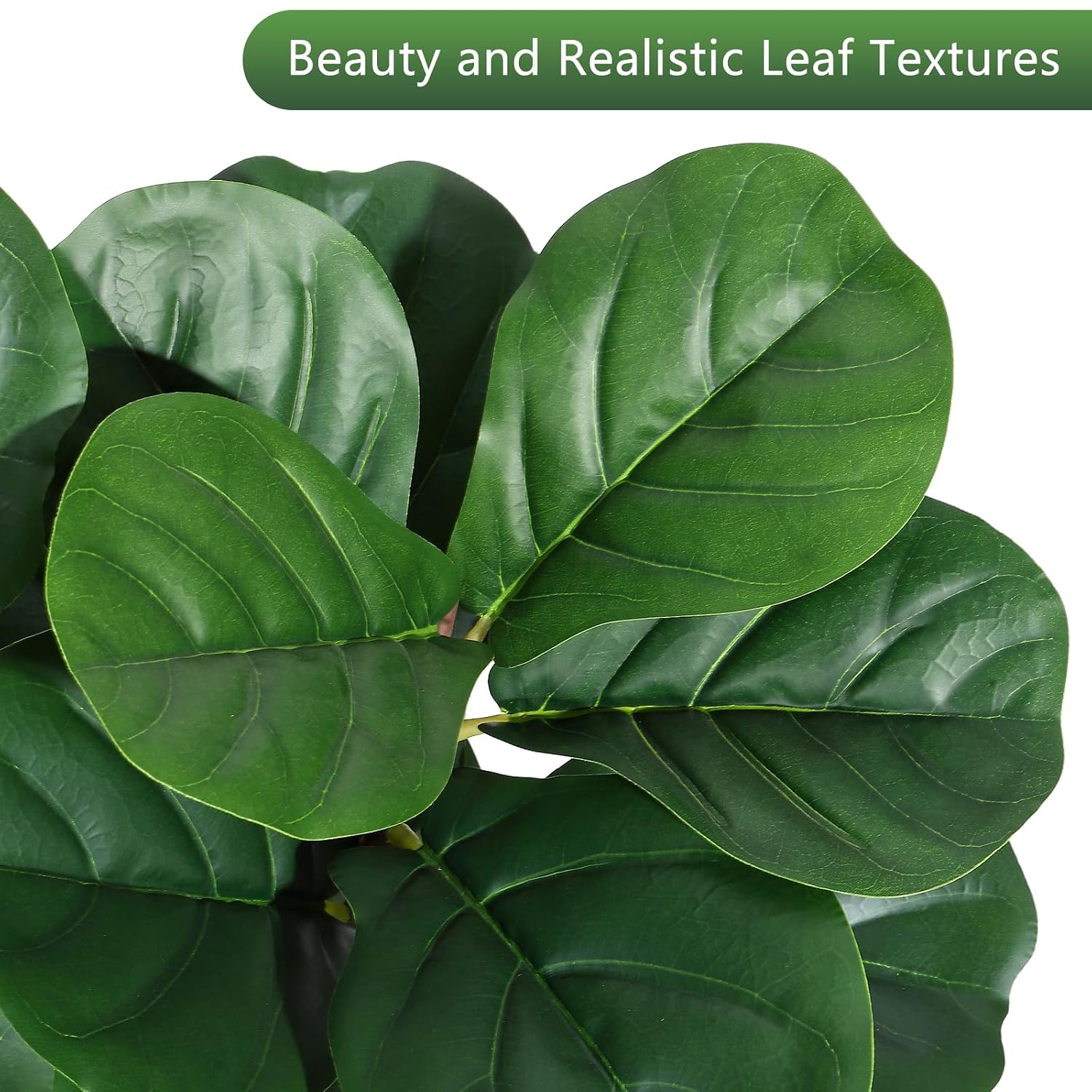 4 ft Fiddle Leaf Fig Tree Arti - đánh giá và giá Ficus Lyrata Tree