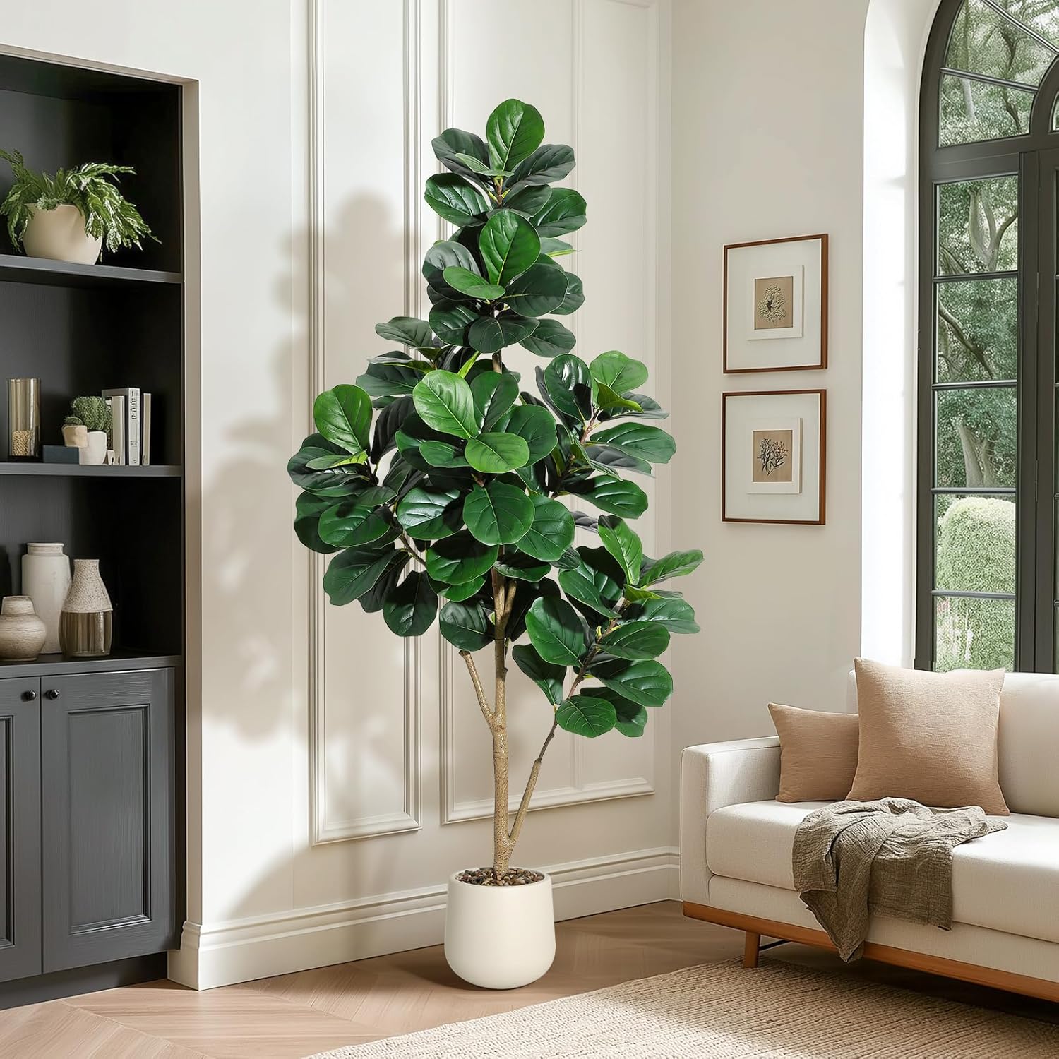 4-7 FT Fiddle Leaf Fig Tree Ar - đánh giá và giá Dracaena Marginata