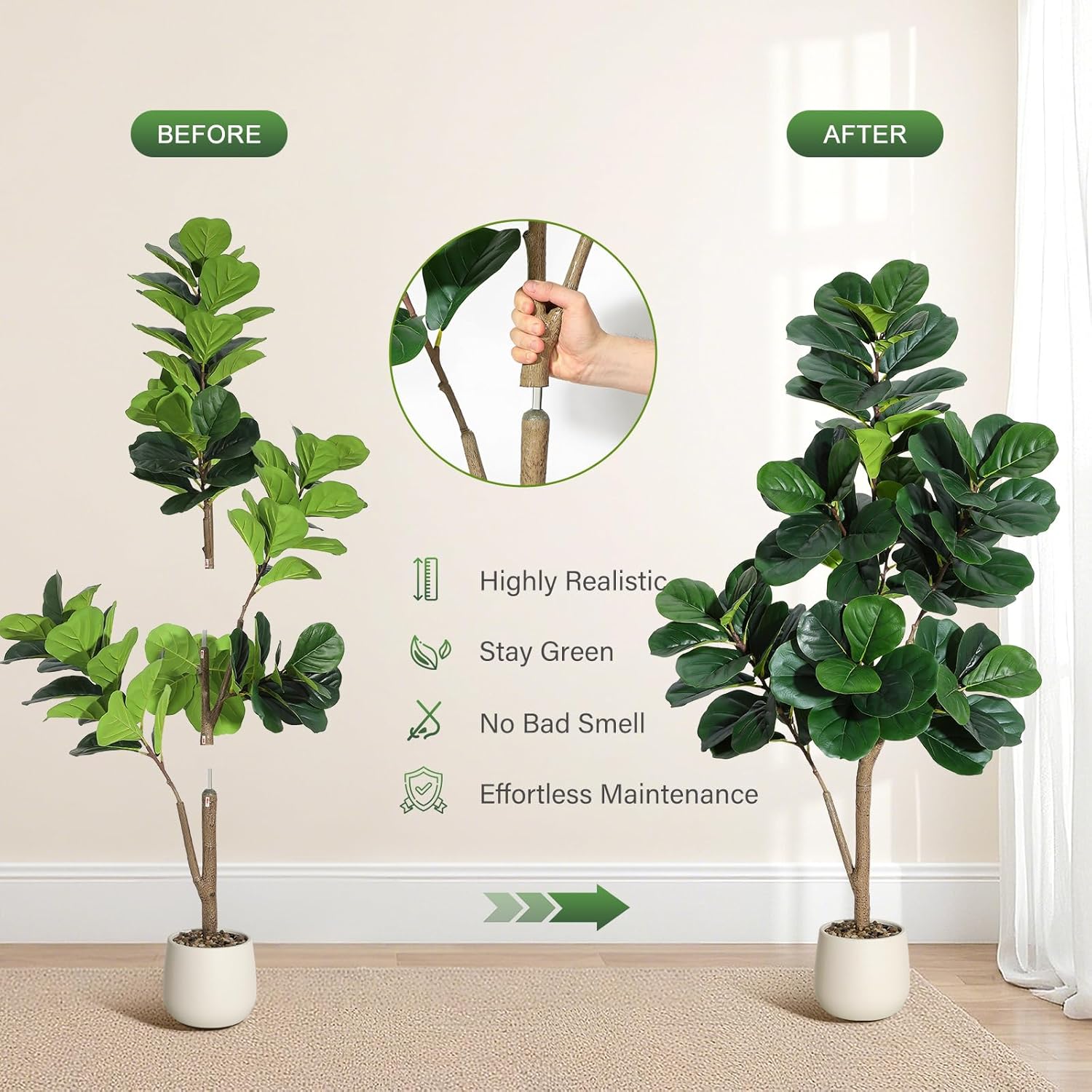 4-7 FT Fiddle Leaf Fig Tree Ar - đánh giá và giá Dracaena Marginata