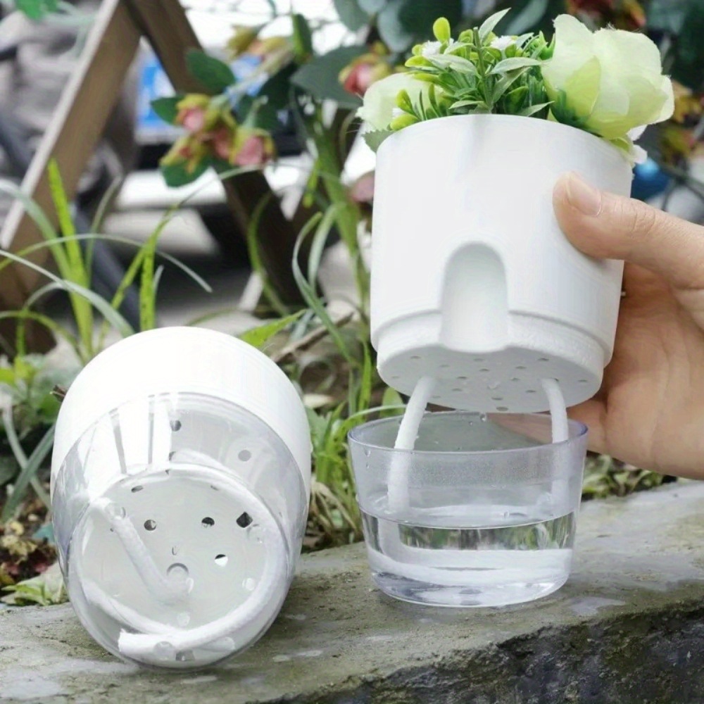 10/5Pcs Self Watering Plastic  - đánh giá và giá Aloe Vera Pot