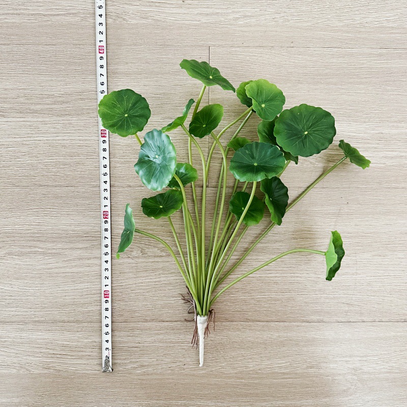2pcs Artificial Pilea Peperomi - đánh giá và giá Pilea Peperomioides