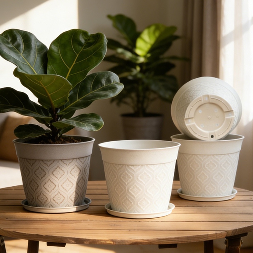 Matte Finish Plant Pot With Sa - đánh giá và giá Aloe Vera Pot