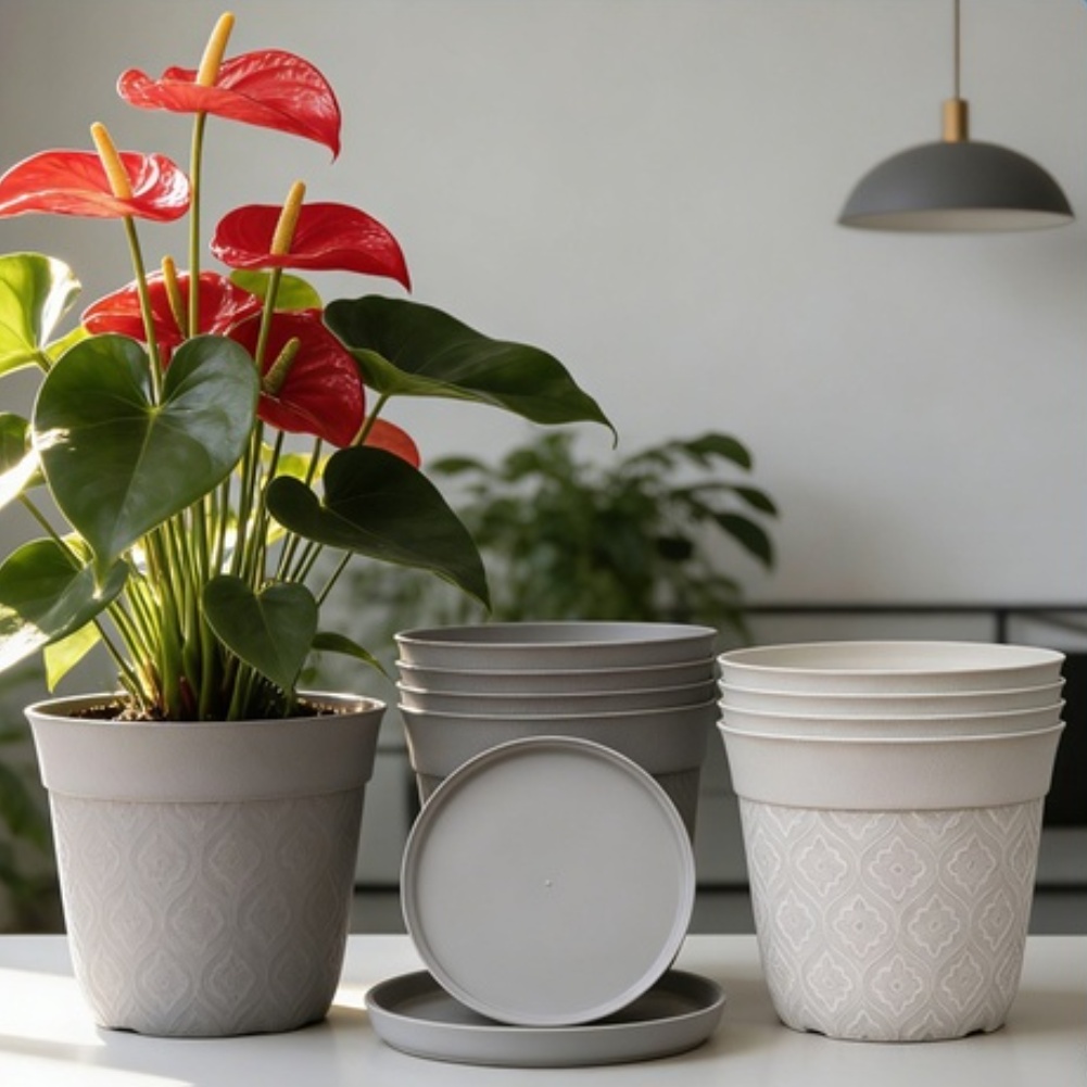 Matte Finish Plant Pot With Sa - đánh giá và giá Aloe Vera Pot