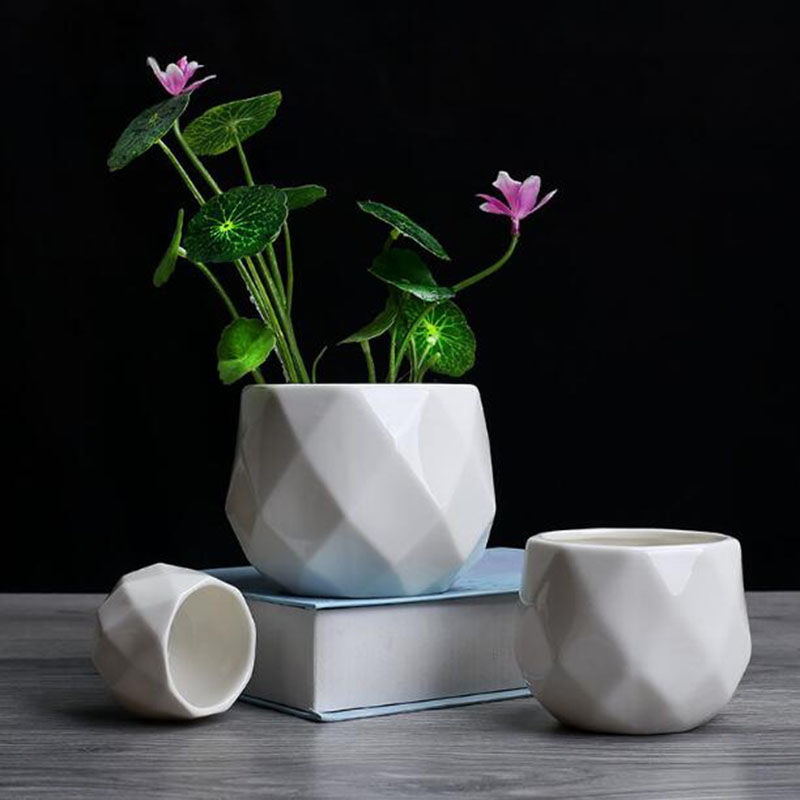 European Simplicity Style Whit - đánh giá và giá Aloe Vera Pot