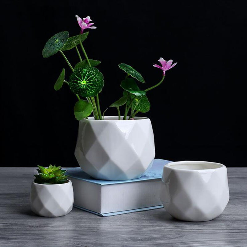 European Simplicity Style Whit - đánh giá và giá Aloe Vera Pot