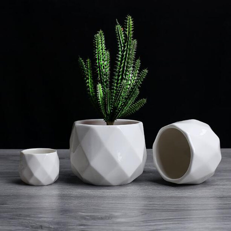 European Simplicity Style Whit - đánh giá và giá Aloe Vera Pot