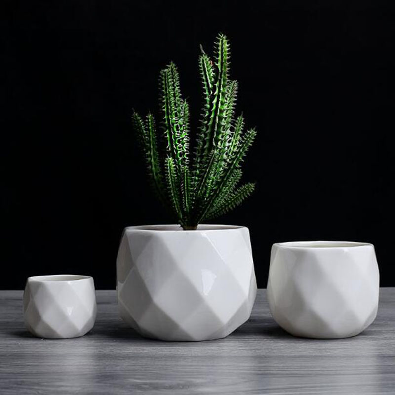 European Simplicity Style Whit - đánh giá và giá Aloe Vera Pot