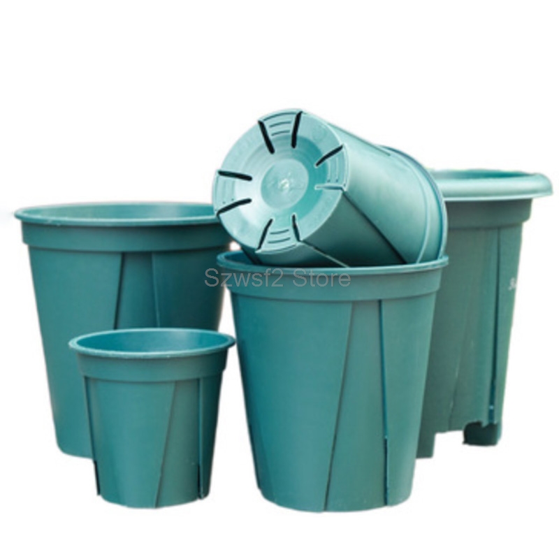 5/10pcs Green Plastic Plant Fl - đánh giá và giá Aloe Vera Pot