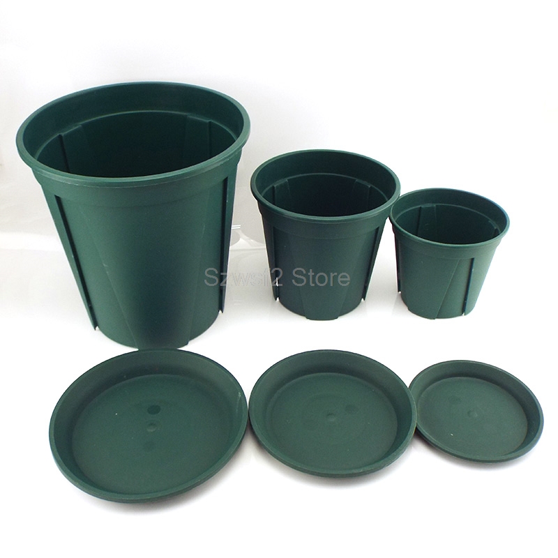 5/10pcs Green Plastic Plant Fl - đánh giá và giá Aloe Vera Pot