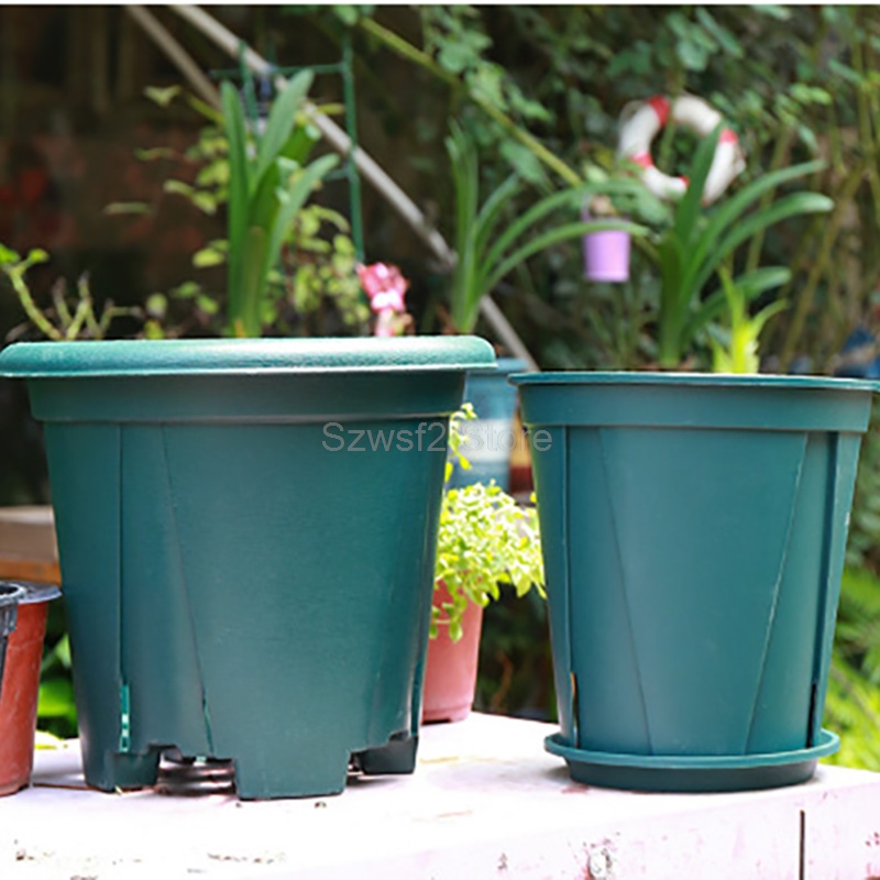5/10pcs Green Plastic Plant Fl - đánh giá và giá Aloe Vera Pot